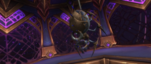 spider